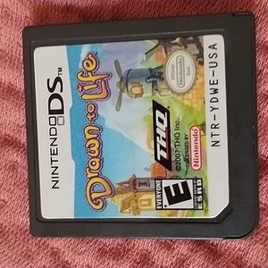 Nintendo DS game